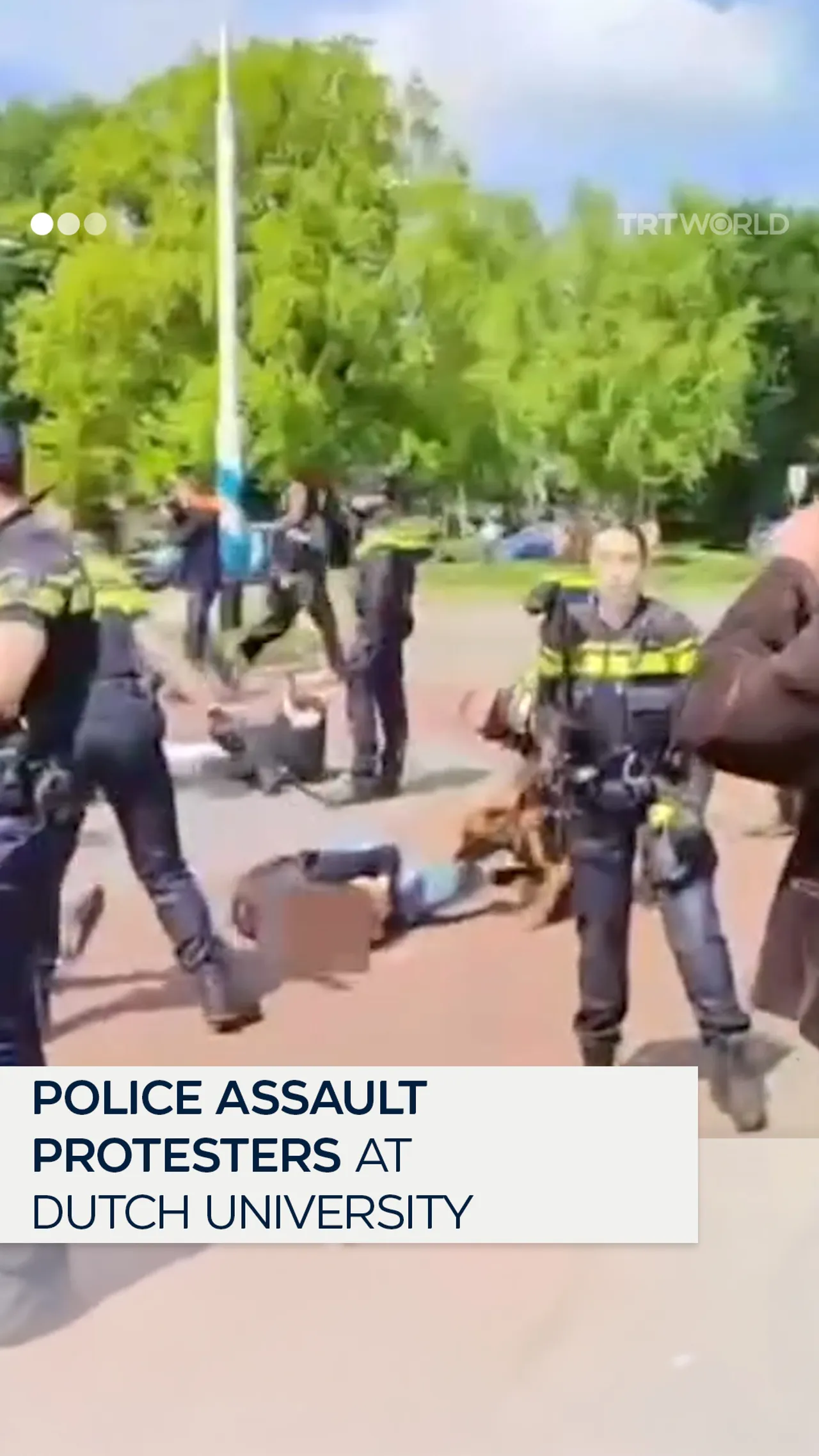 Police assault protesters at Dutch university
